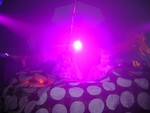 thumb 61_purple_sun