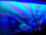 thumb 12_fluo_paddo_landscape