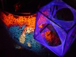 thumb 13_cube_in_action