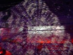 thumb 16_starry_light